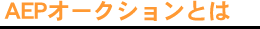 AEPオークションとは?