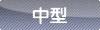 中型