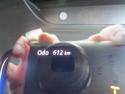 �ʐ^19