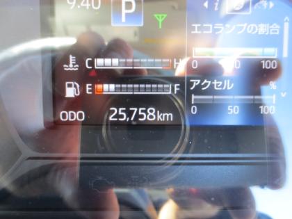 写真14