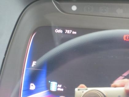 �ʐ^15