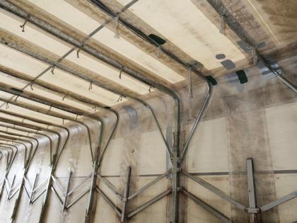 �ʐ^8