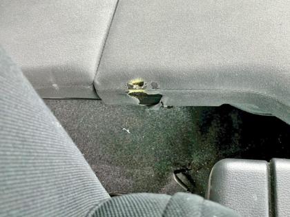 �ʐ^11