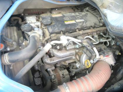 �ʐ^11